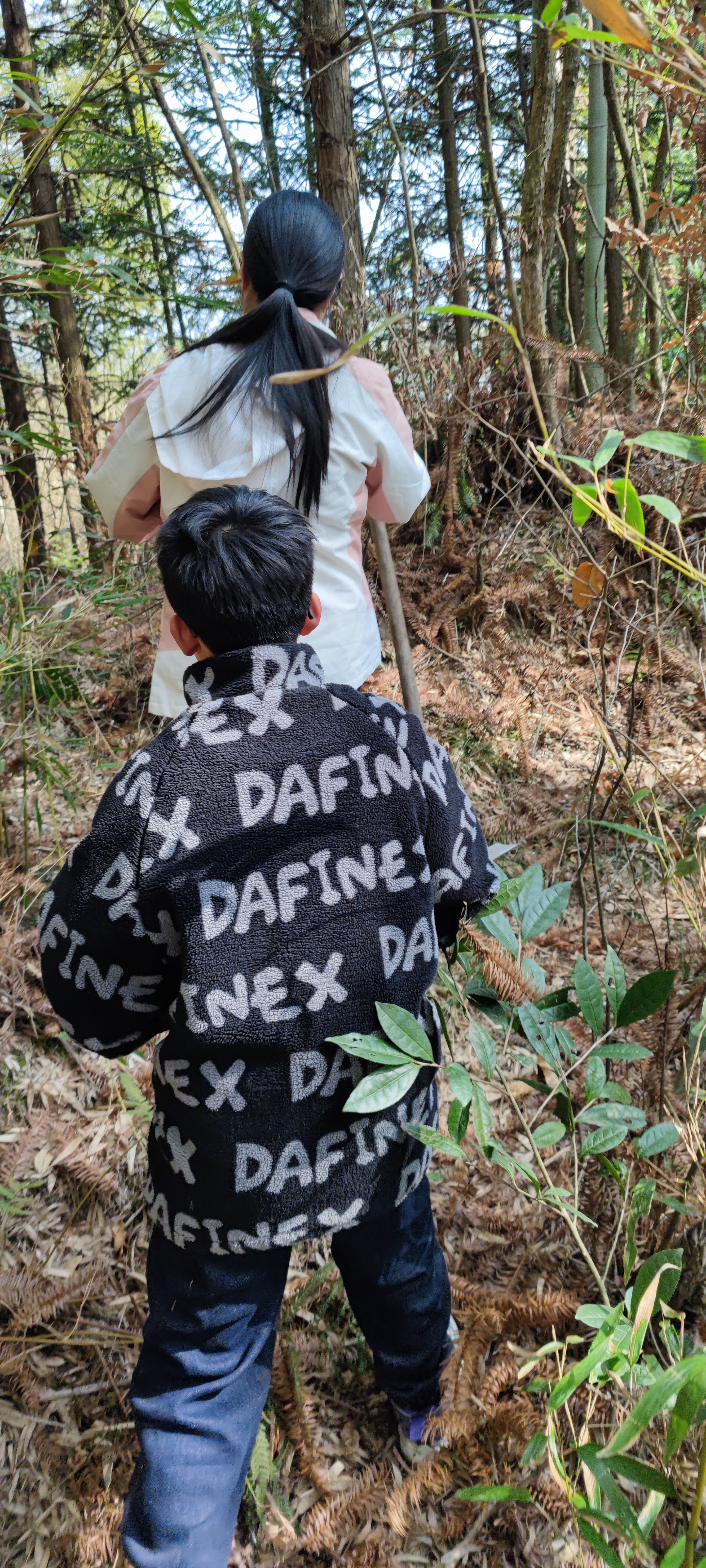 Pic_挖笋1.jpg