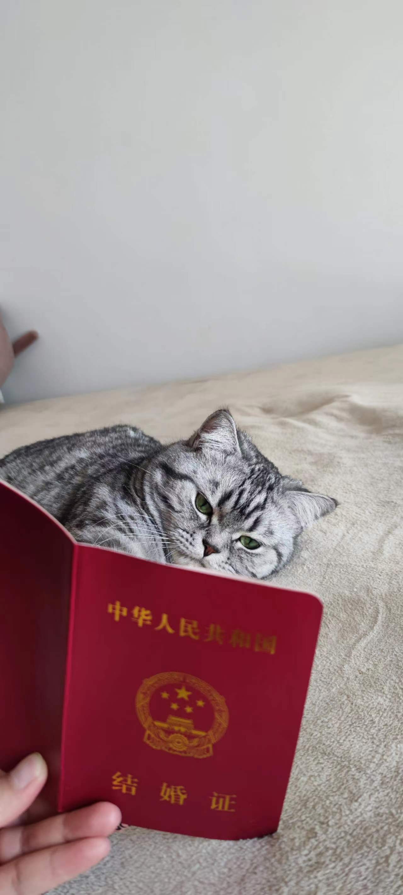 皮蛋看结婚证.jpg