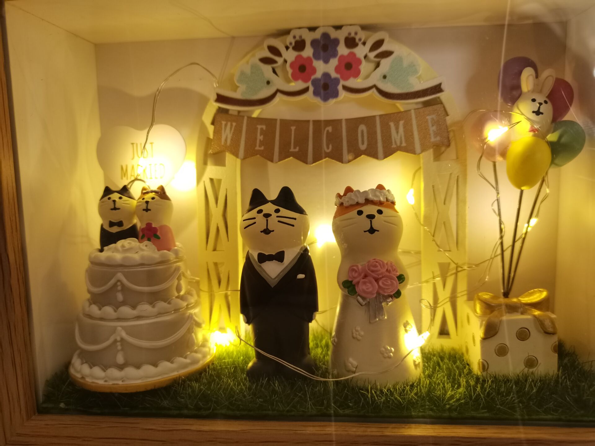 猫咪礼物.jpg